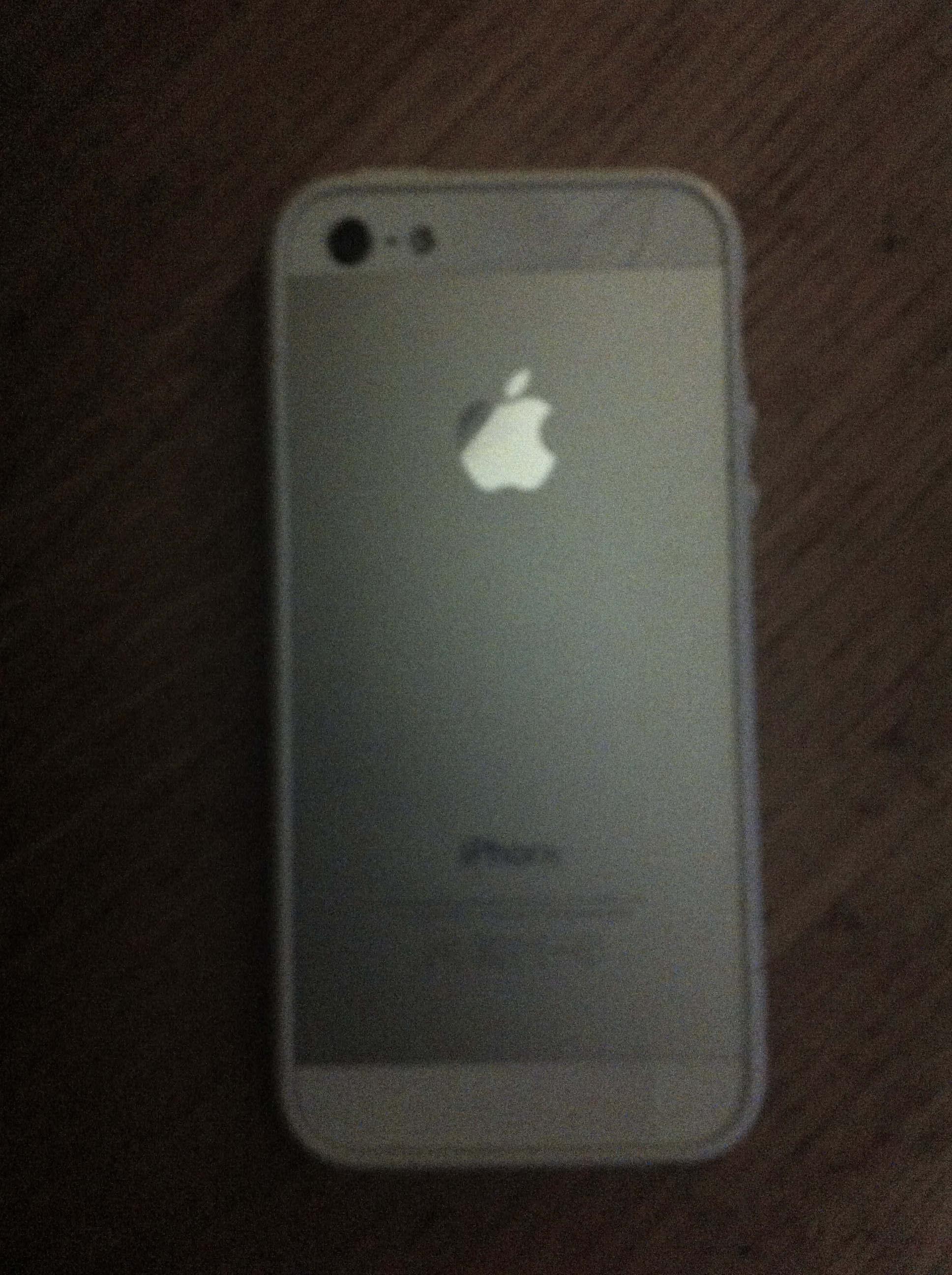 img1646rz.jpg