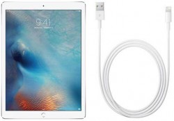 iPad-Pro-Cable-250x174.jpg