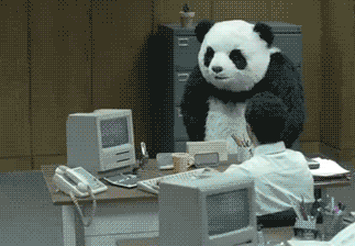 Never_1c357c_2855642.gif