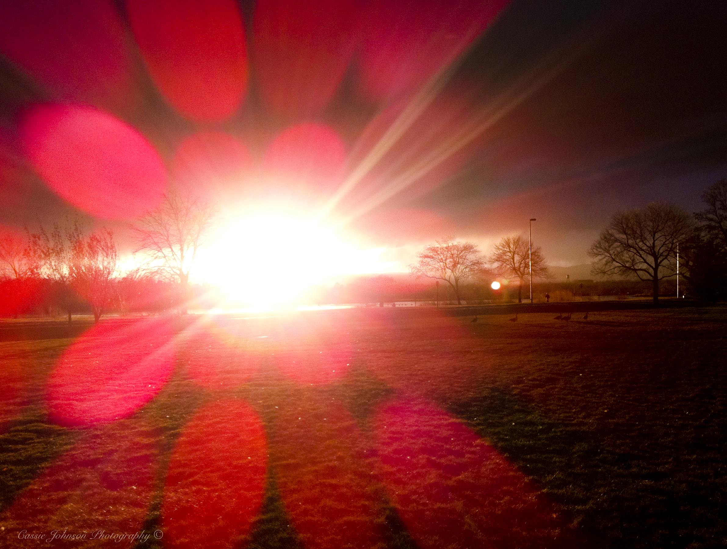 iphone-photos.jpg