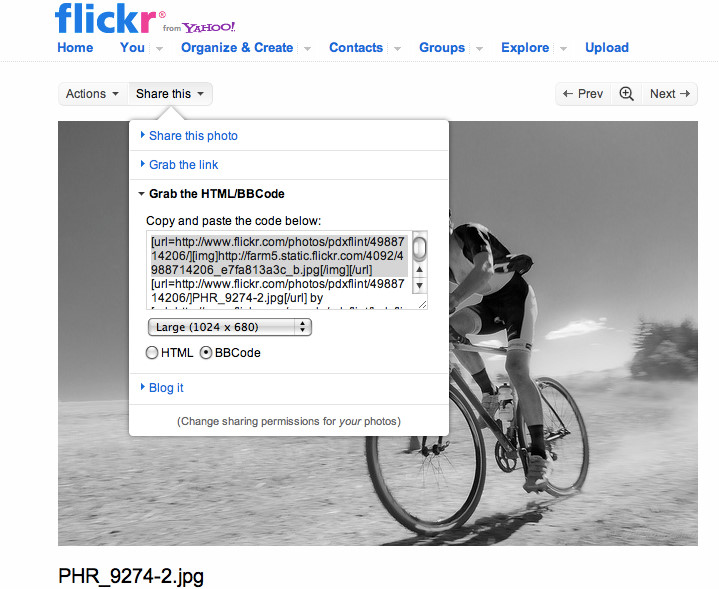 flickr%20share.jpg