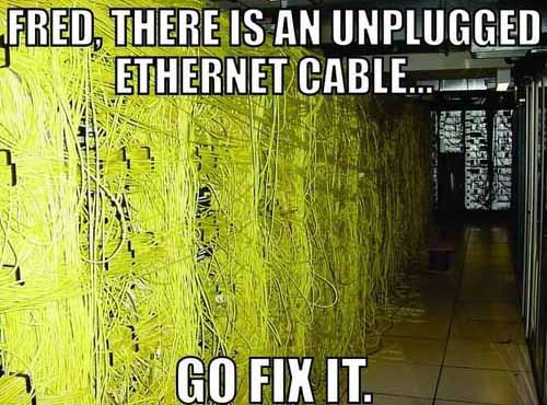 63959217.jpg