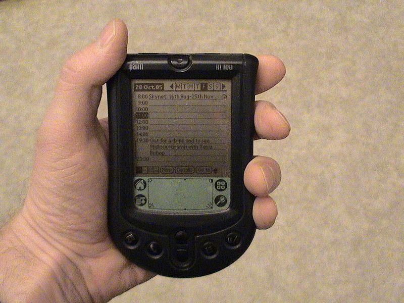 800px-Palm_m100.jpg