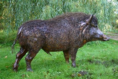 boar.jpg