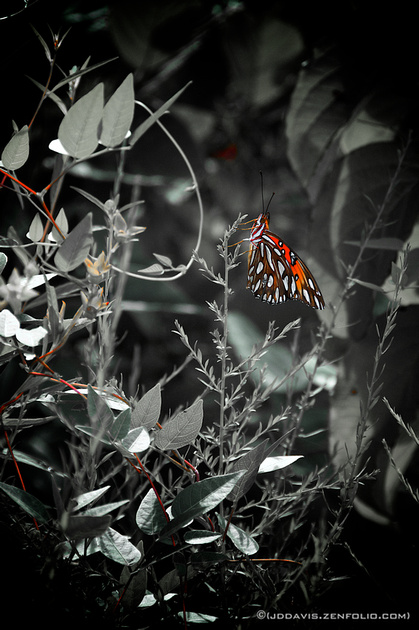 p860967555-4.jpg