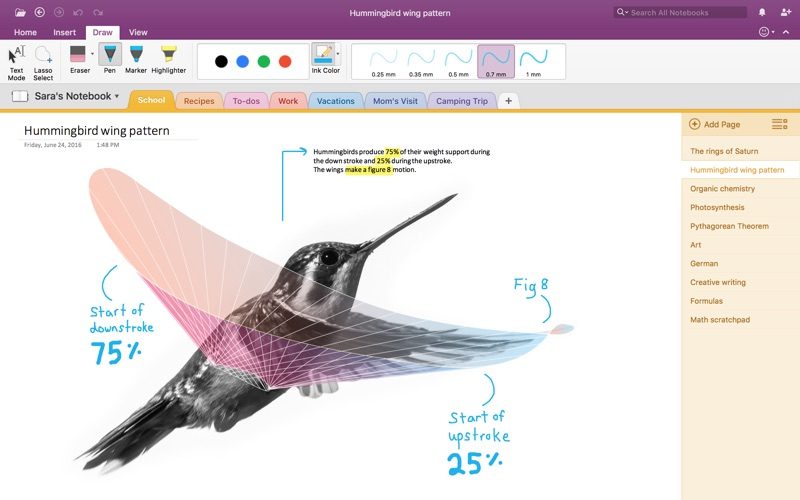 microsoftonenote-800x500.jpg