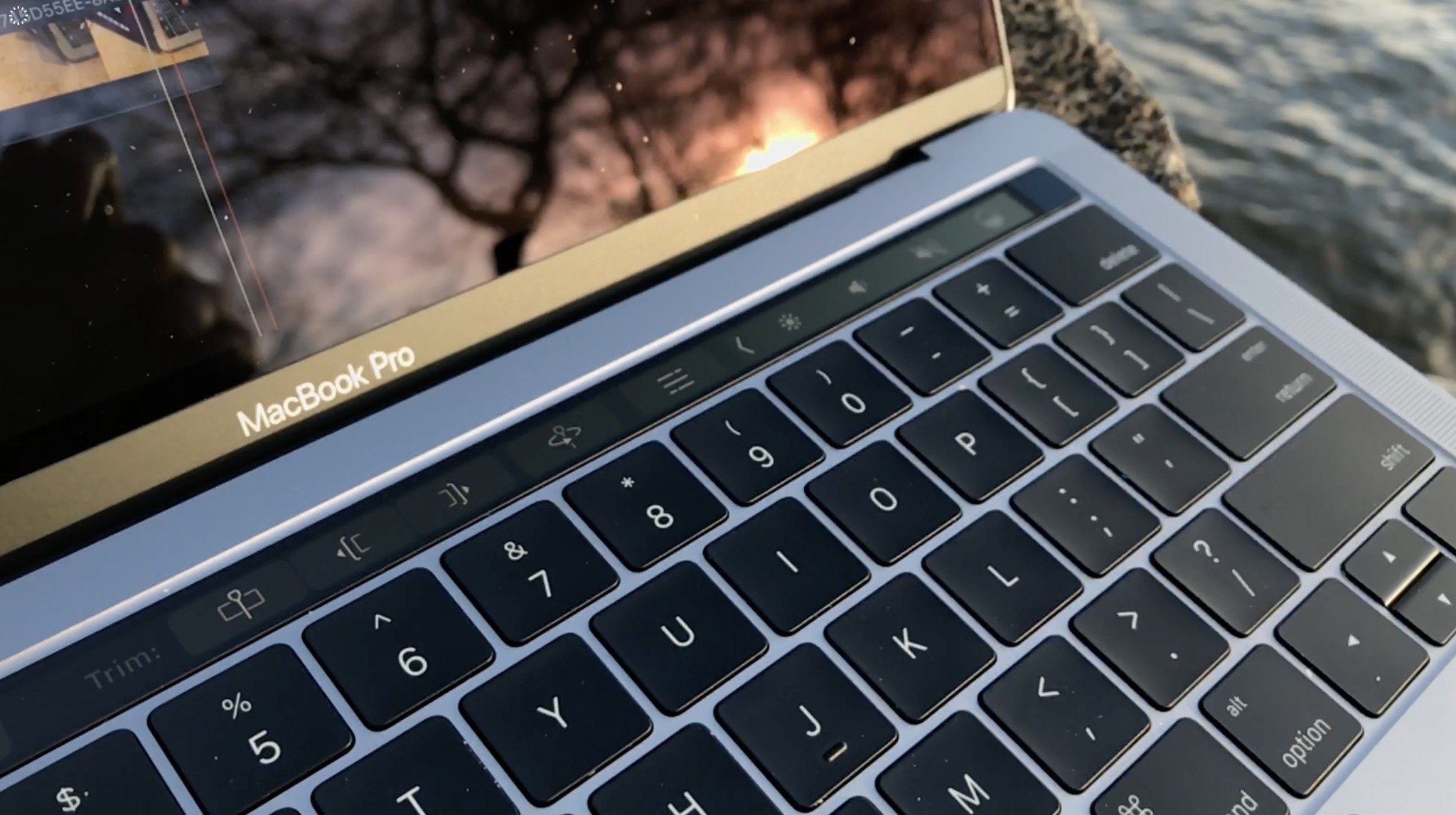 www.windowscentral.com