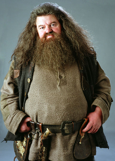 Hagrid-Potter-Coltrane_458.jpg