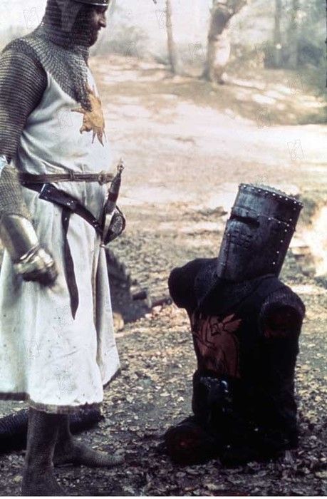 d33e23db2a8343af86875548a92ea198--flesh-wound-monty-python.jpg