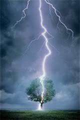 Lightning_Tree.jpg
