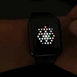 17839984341_8c887bb67e_o.gif