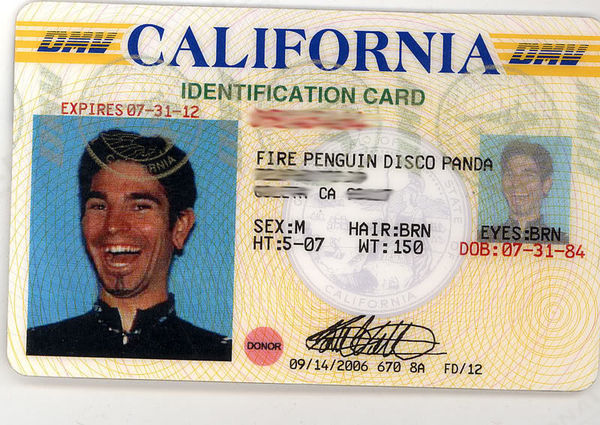 fire-penguin-disco-panda.jpg