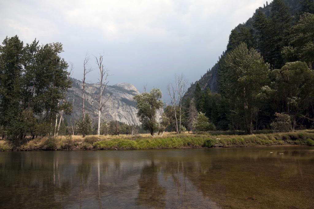 swingingbridge1c.jpg