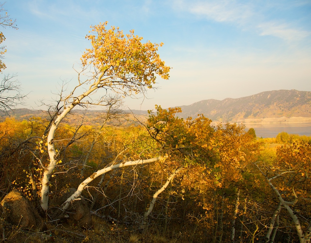 walkerville201209275190.jpg
