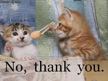 No_Thank_You.jpg
