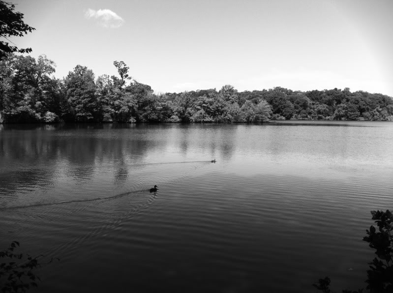 photo1.jpg