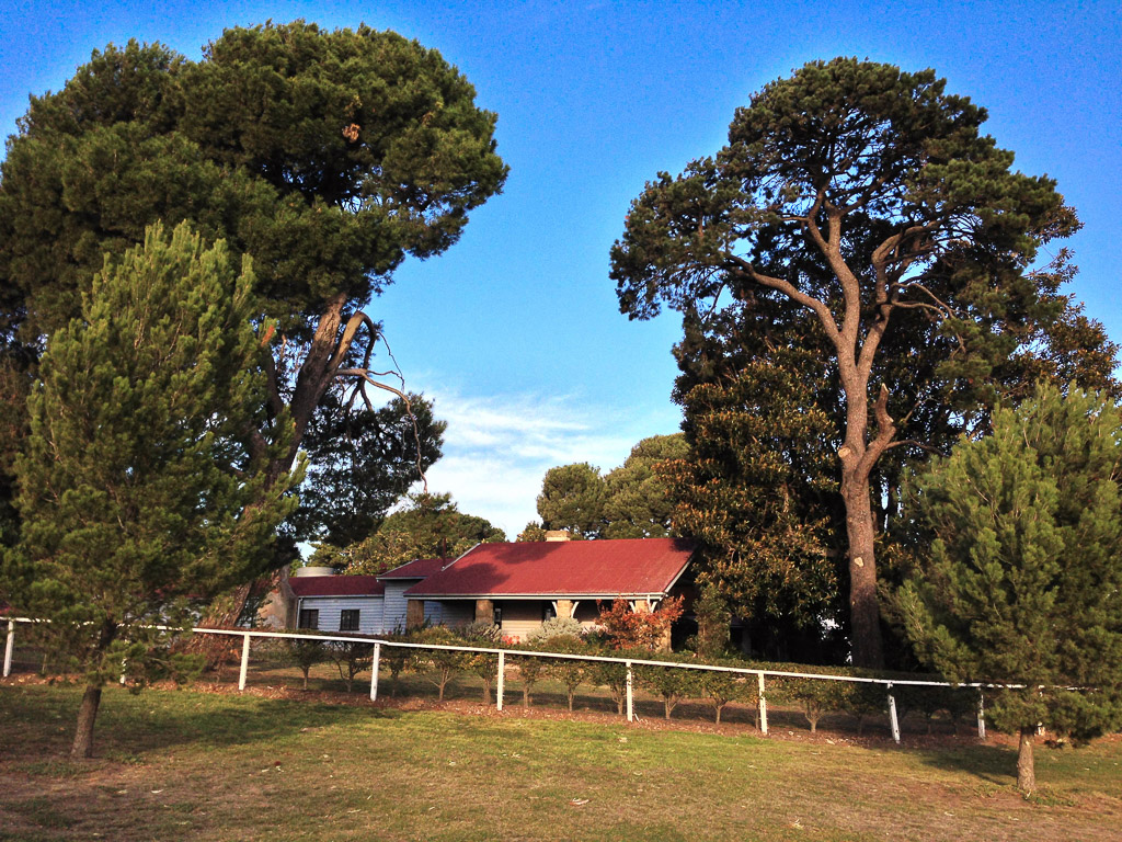 20130511-0072.jpg