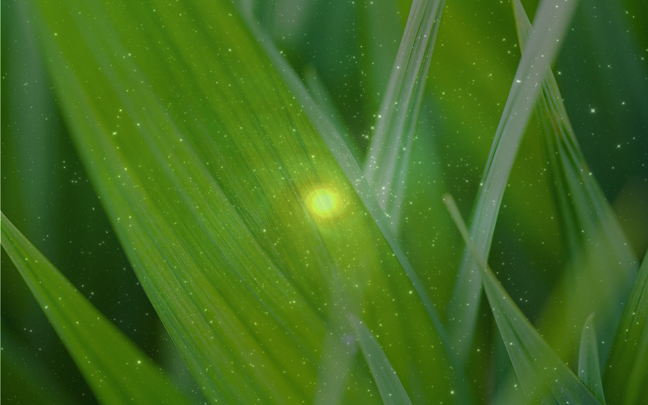 plantleopardex9.png