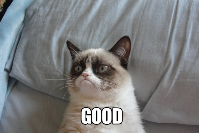post-11150-Grumpy-Cat-GOOD-and-NO-memes-pGrc.jpeg