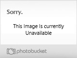 photo11.jpg