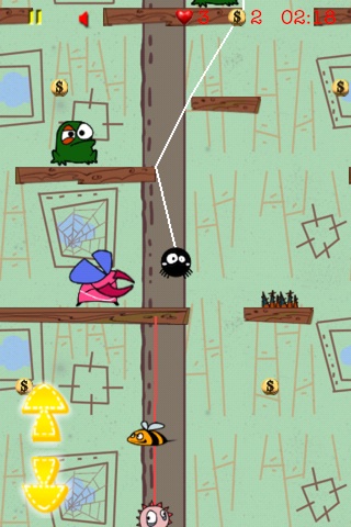 spider5.jpg