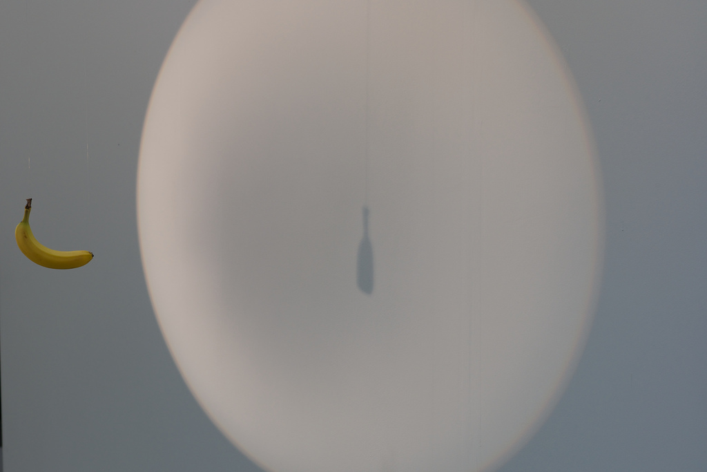 6243979385_a21e5632b5_b.jpg