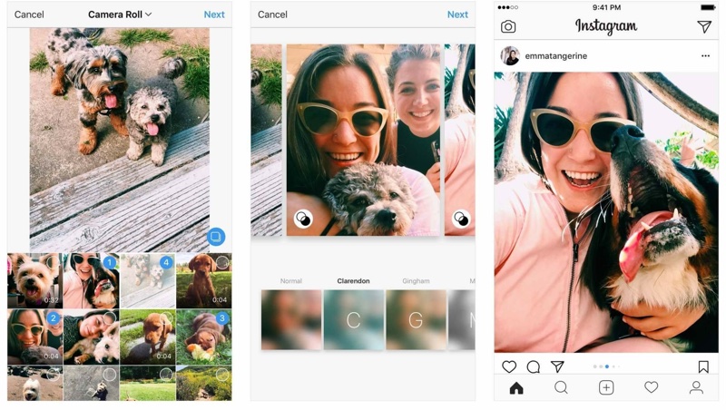 instagramgalleryposts.jpg