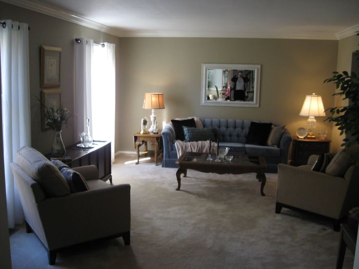 c2aa804d49c09dea54d050fba43aed0d--room-set-living-rooms.jpg