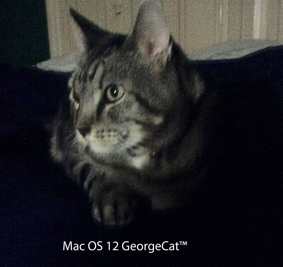 george.jpg