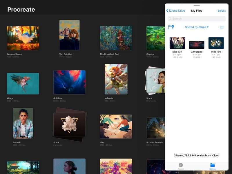procreate4files-800x600.jpg