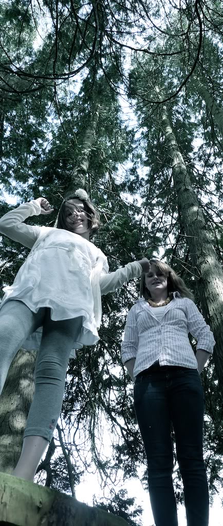 kmtalltrees.jpg