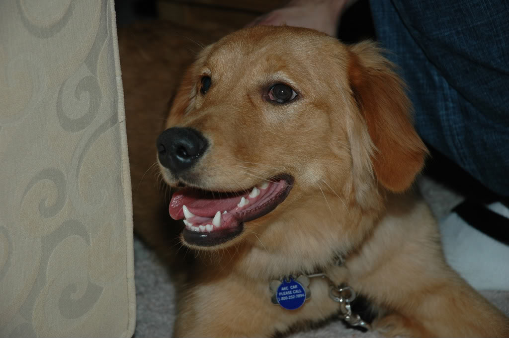 xmas2008007-1.jpg