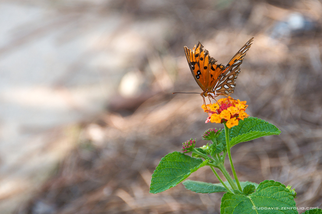 p297729466-5.jpg