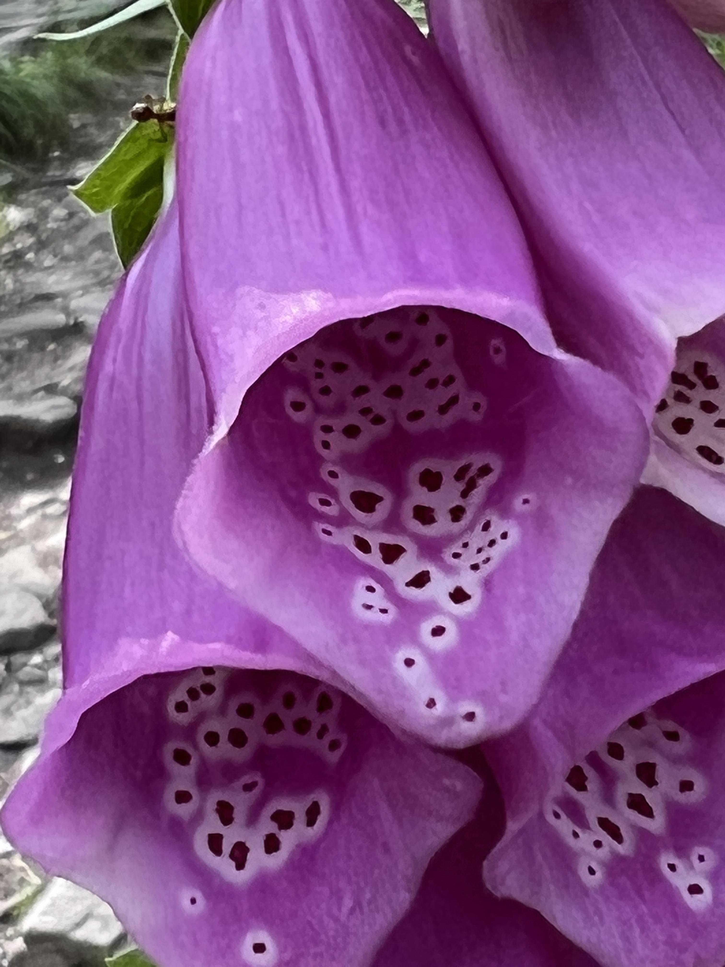 4e1c93ab25c40c7ebaac117110f113d4.jpg
