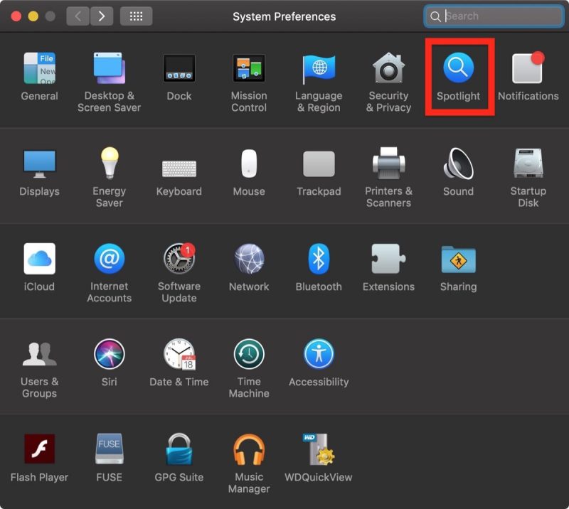 how-to-reindex-spotlight01-800x716.jpg