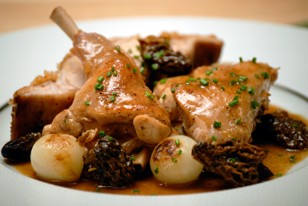 rabbit-with-morels1000.jpg