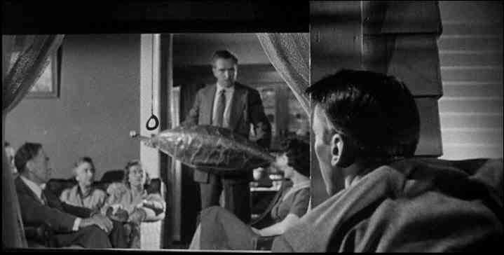 invasion_of_bodysnatchers-window.jpeg