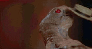 raqagzip5jefs2rqazwh.gif