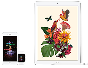 iPhone-iPad-duo-2015.jpg