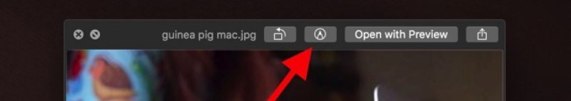 mojave-quick-look-markup-button-e1531128163973-800x142.jpg