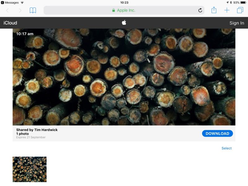 how-to-share-an-icloud-photo-link-in-ios-12-04-800x600.jpeg