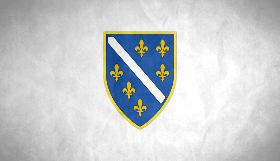 flag_of_bosnia_and_herzegowina_grunge_by_syndikata_np-d4r3dze.jpg