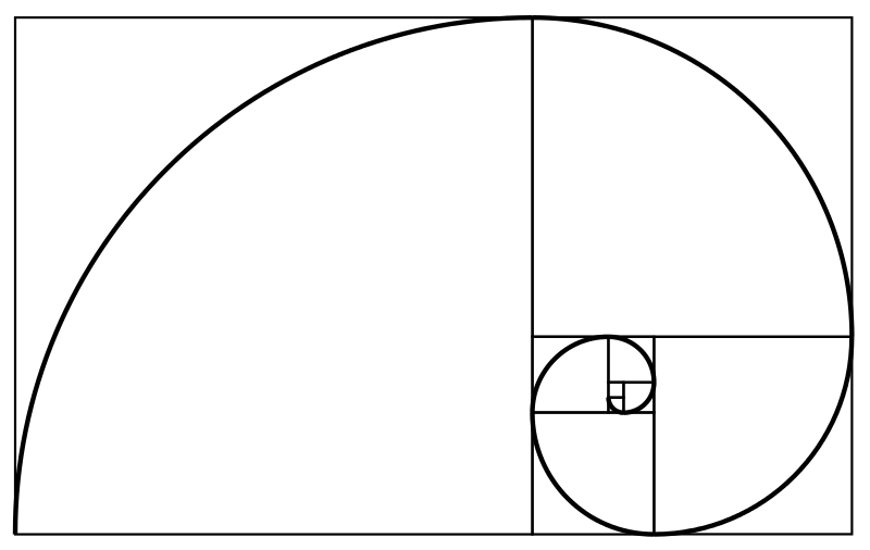 800px-Fibonacci_spiral_34.svg.png