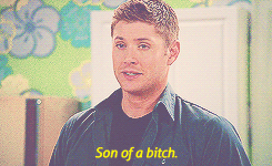 Deans-Favorite-Catchphrase-is-Son-of-a-Bitch..gif