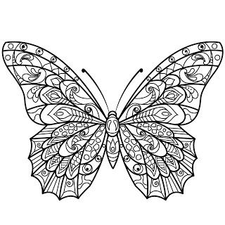 Coloring Pages For Adults Adult Mandala Coloring Book On