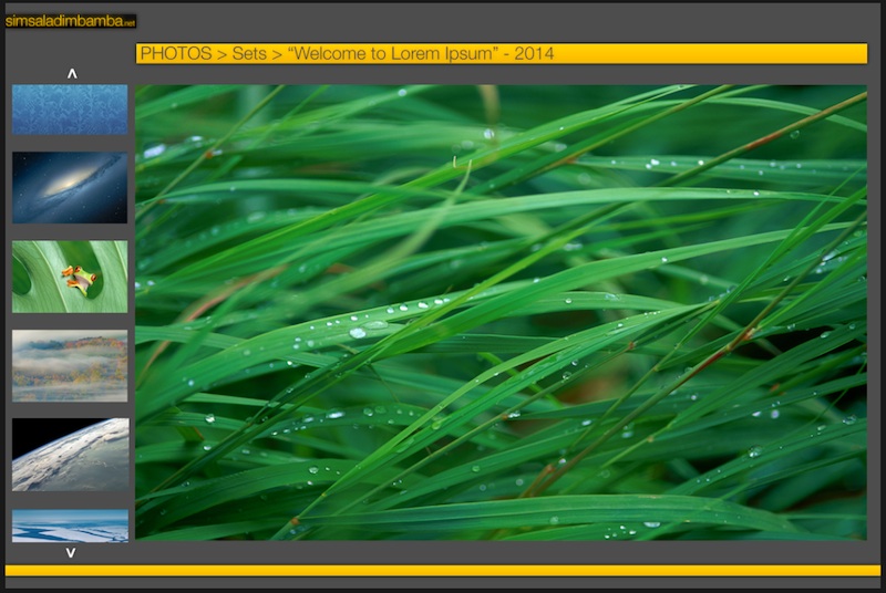 MR2ss_2014_03_28_pA2_GallerySidebar.jpg