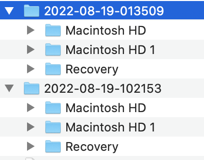Folder inside newer Time Machine backup with a Macintosh HD and Macintosh HD 1 folder Folder inside newer Time Machine backup with a Macintosh HD and Macintosh HD 1 folder