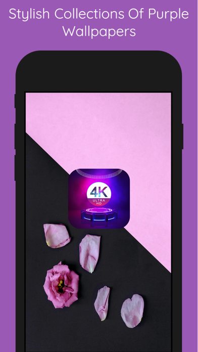 392x696bb.png