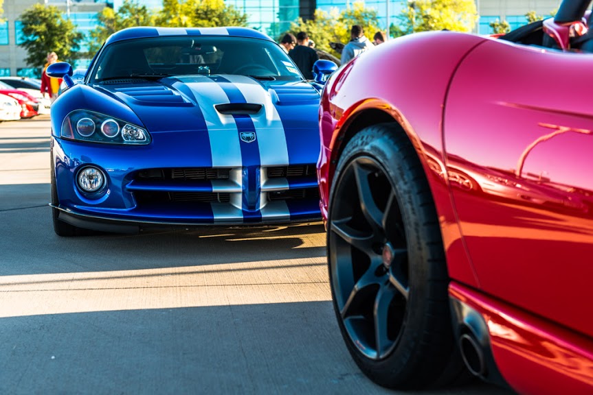 vipers-3397.jpg