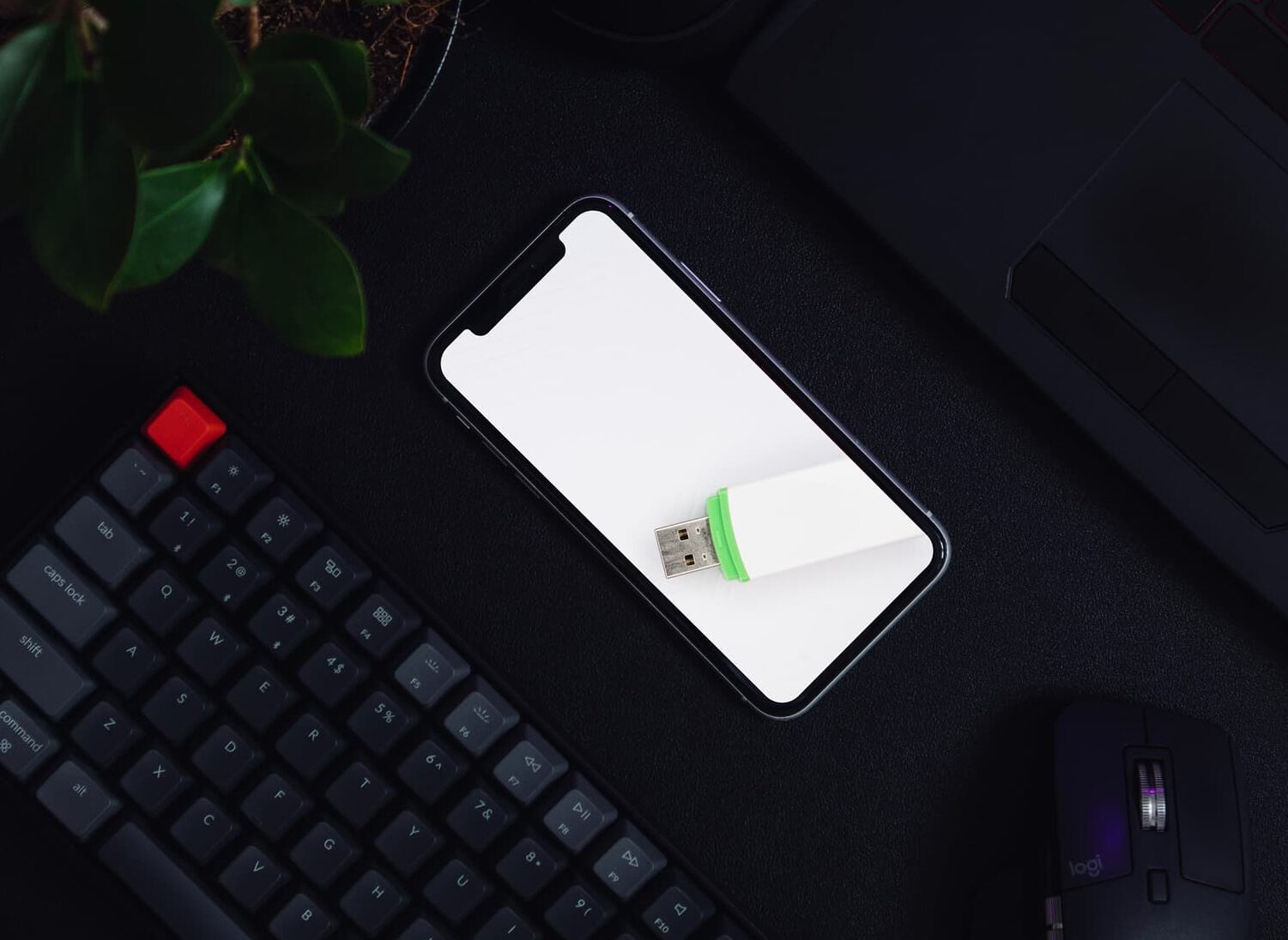 www.idownloadblog.com